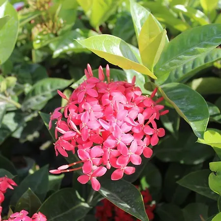 فندق Strandkorb 3*